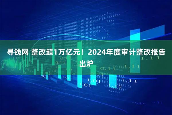 寻钱网 整改超1万亿元！2024年度审计整改报告出炉